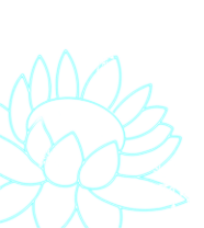 glowing rose