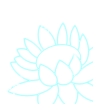 glowing rose