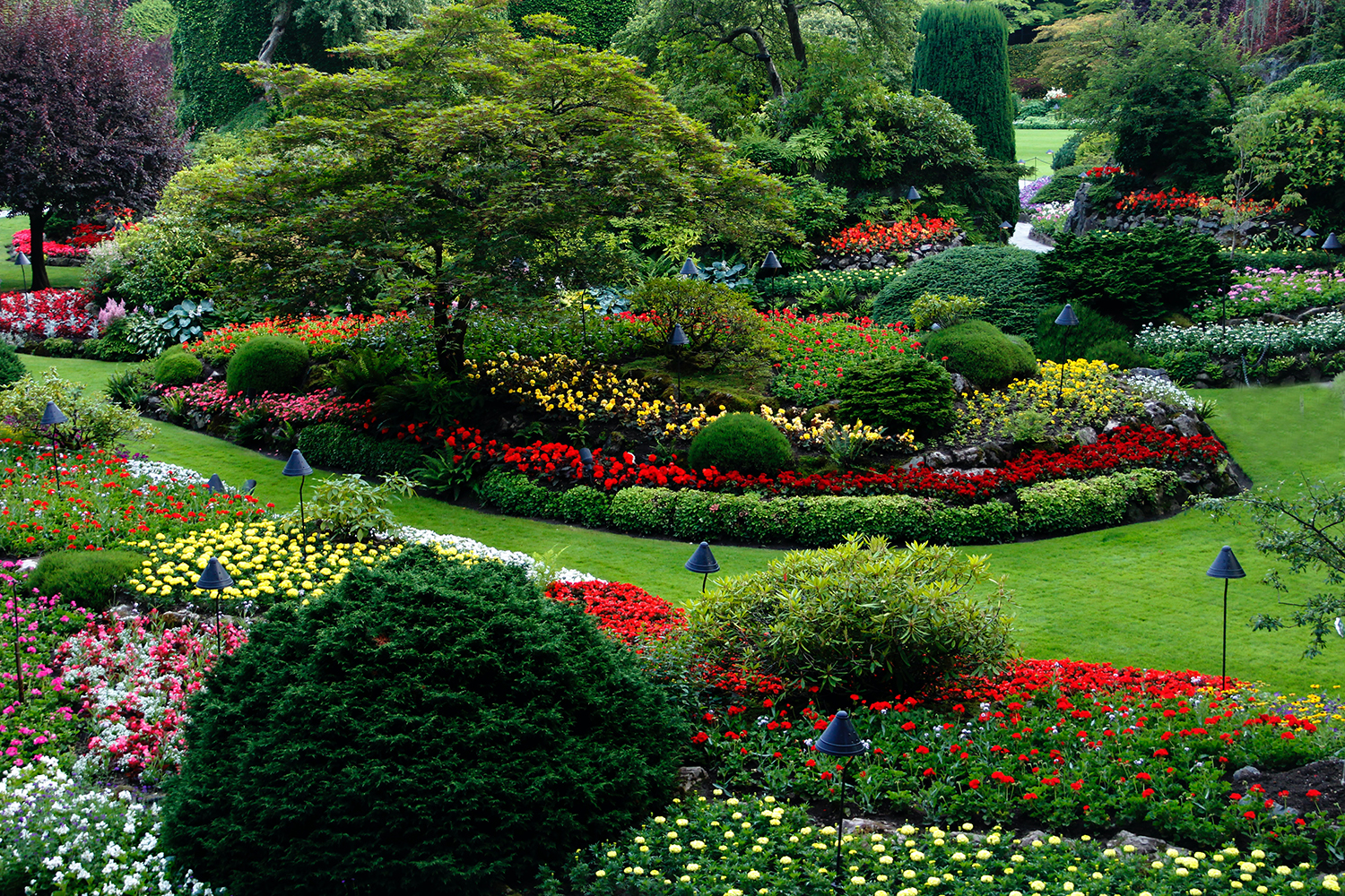tuin